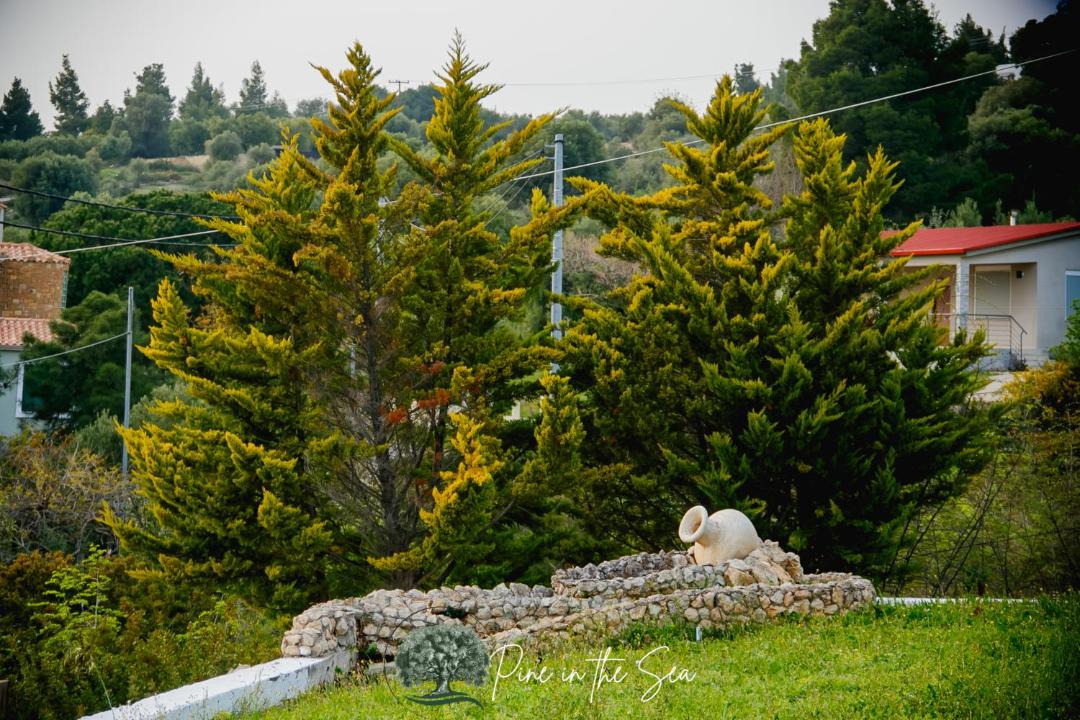 Photo of Others in Elia