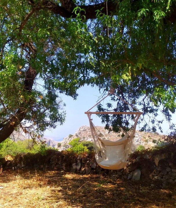 Photo of Others in Aegiali
