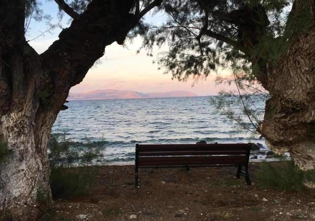 Photo of Others in Agia Pelagia