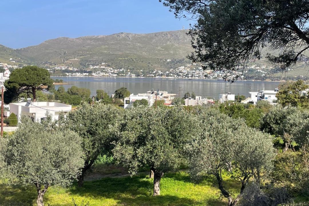 Photo of Others in Leros