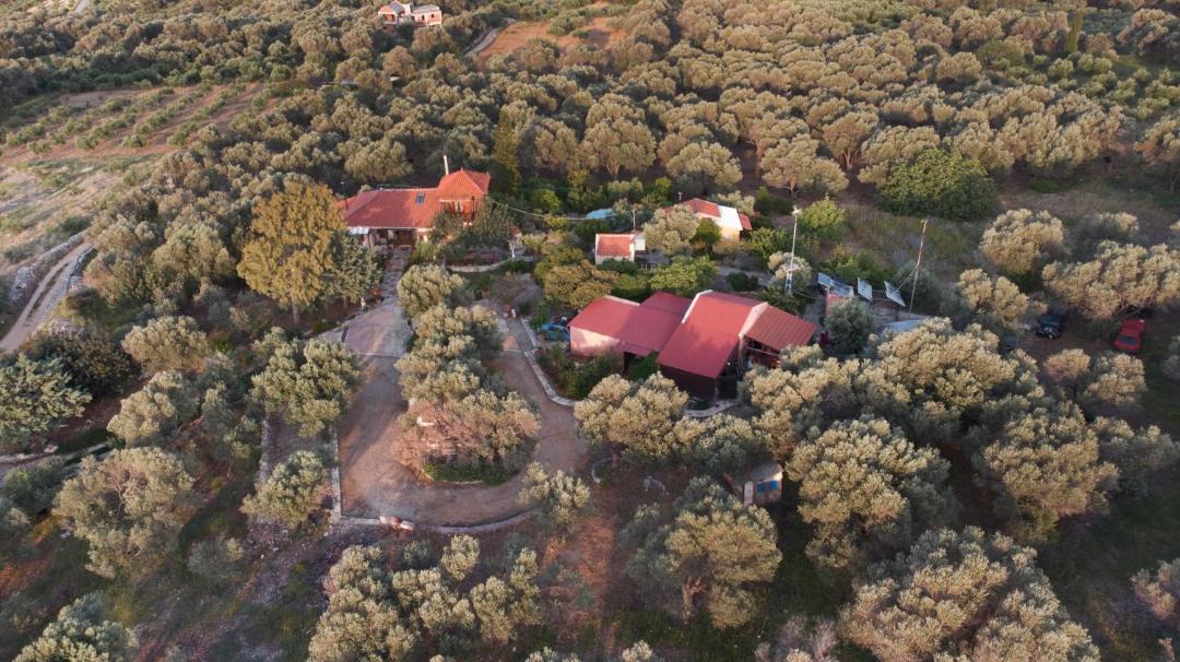Photo of Outdoor in Tilisos