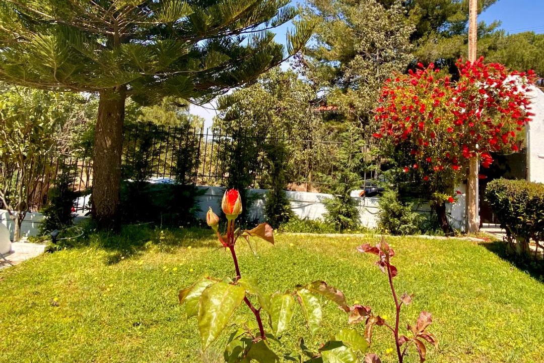 Photo of Others in Anavyssos
