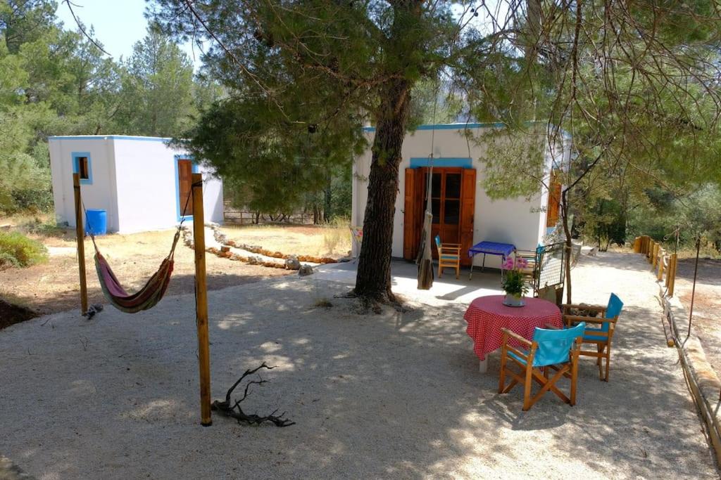 Photo of Others in Panormos