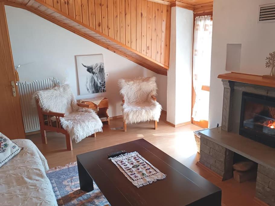 Photo of Livingroom in Metsovo