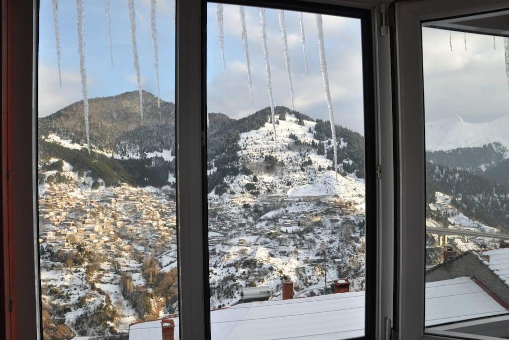 Photo of Others in Metsovo