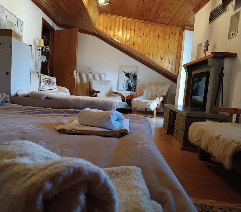 Photo of Livingroom in Metsovo
