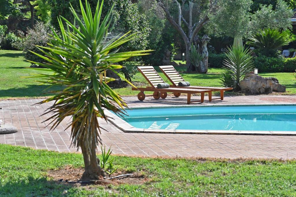 Photo of Outdoor in Sane