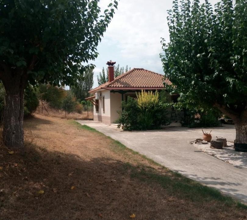Photo of Others in Metagkitsi