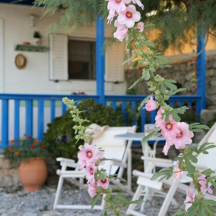 Photo of Others in Sitia