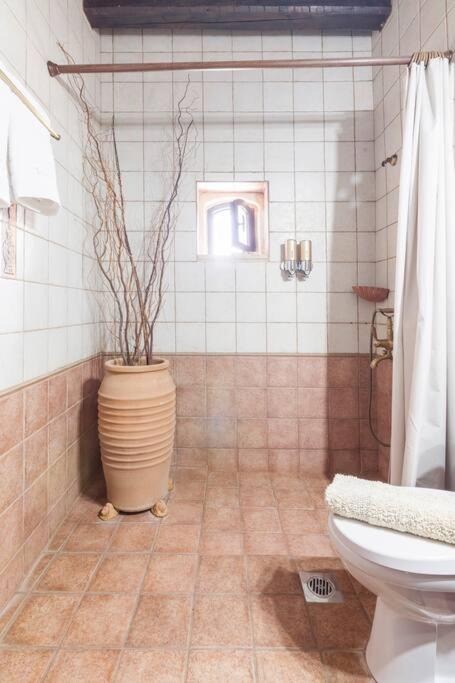 Photo of Bathroom in Samonas