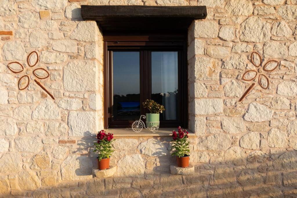 Photo of Others in Episkopi