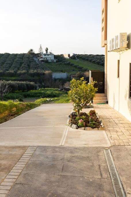 Photo of Others in Episkopi