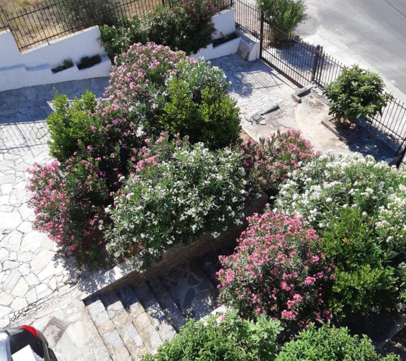 Photo of Others in Nea Makri