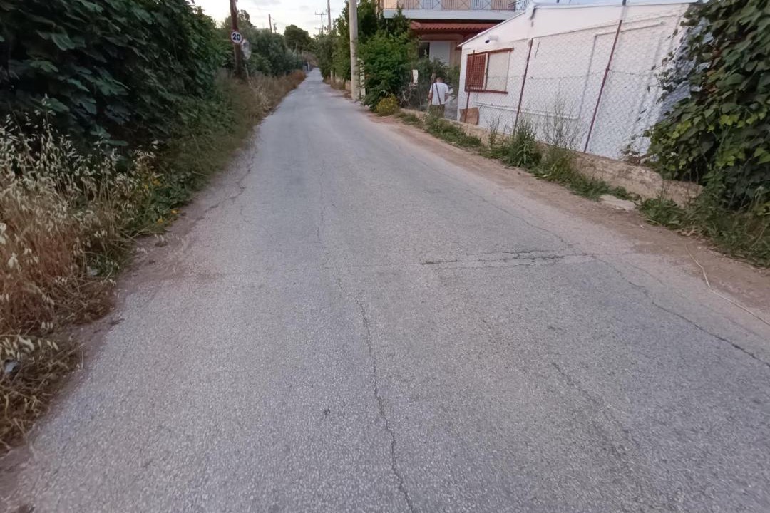 Photo of Others in Pallini