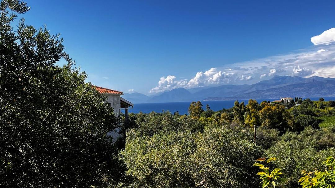 Photo of Outdoor in Petaleia