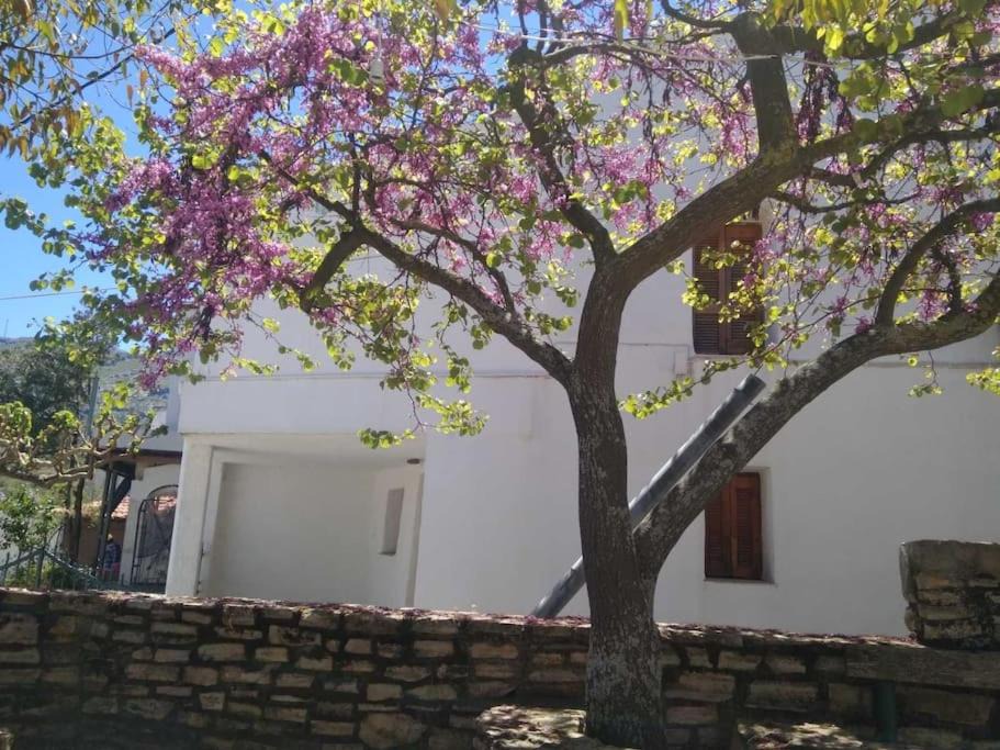 Photo of Buildings in Vizari