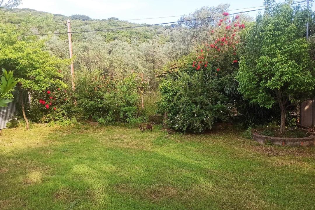 Photo of Outdoor in Lefokastron