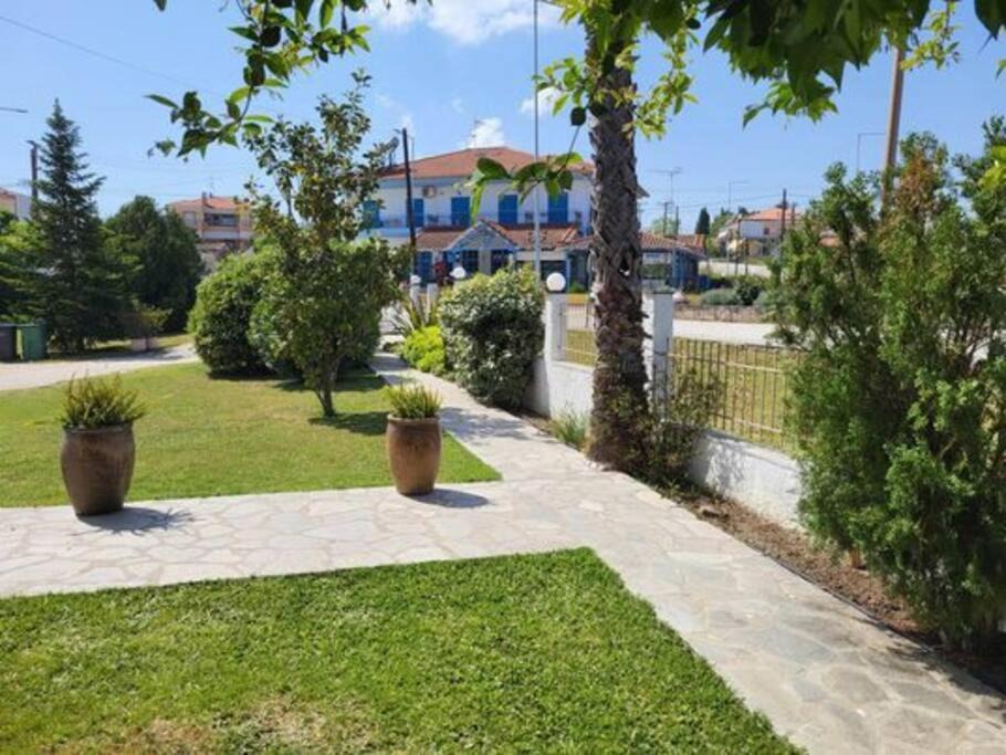 Photo of Others in Paliouri