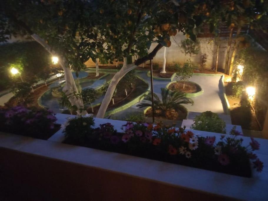 Photo of Patio Balcony in Athens