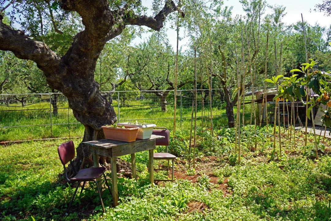 Photo of Others in Kalamata
