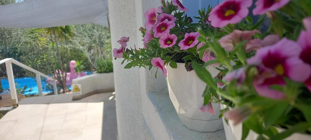 Photo of Patio Balcony in Tolo