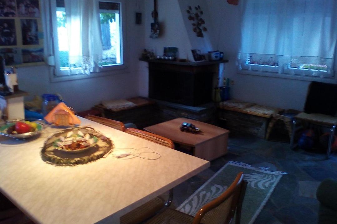 Photo of Livingroom in Samarina