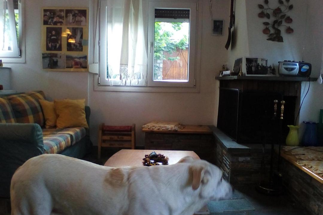 Photo of Livingroom in Samarina