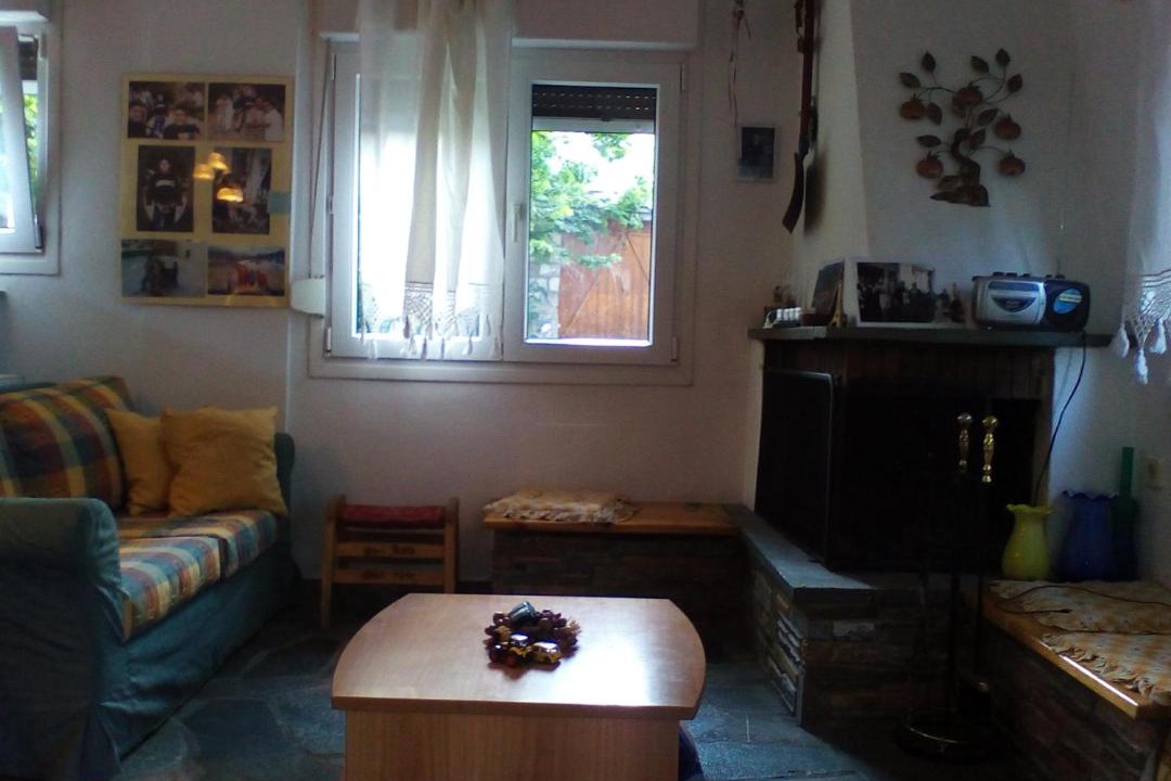 Photo of Livingroom in Samarina