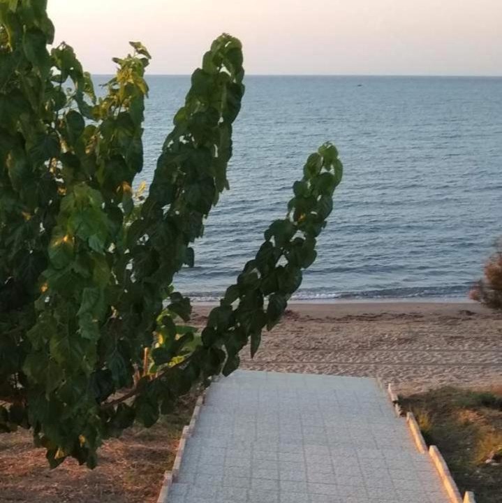Photo of Others in Neromilos