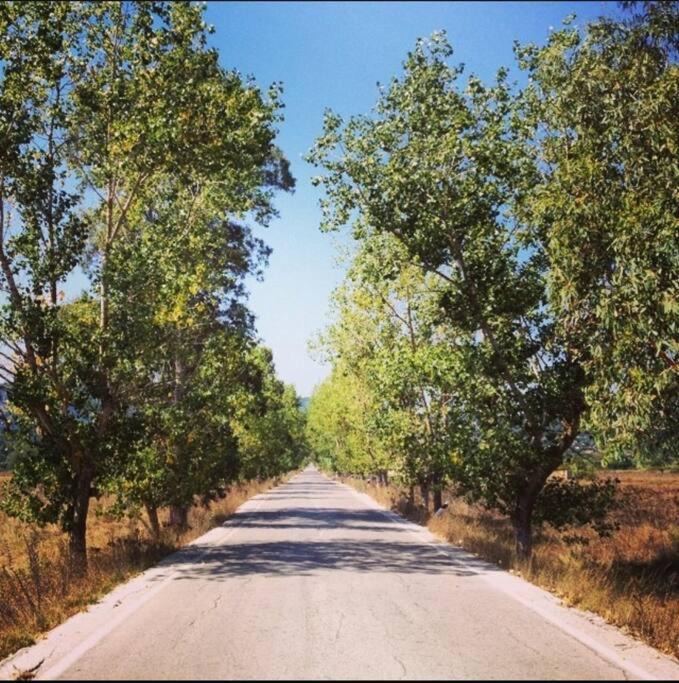 Photo of Outdoor in Giannades