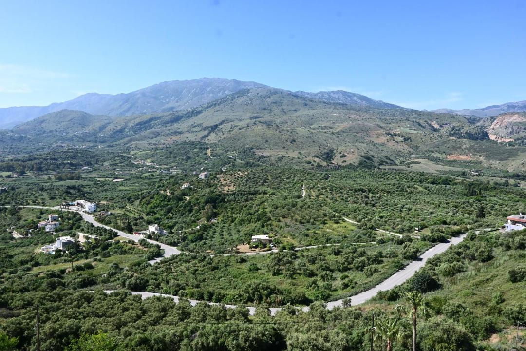 Photo of Others in Exopoli