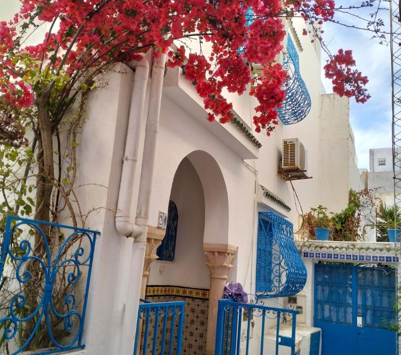 Photo of Others in Sidi Bou Said
