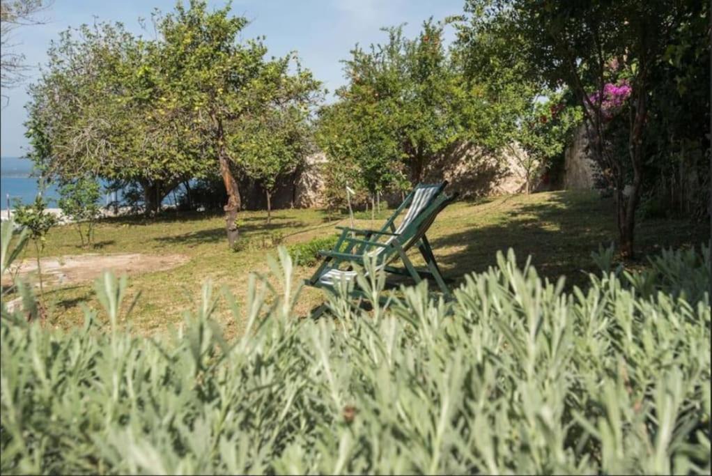 Photo of Others in Pylos