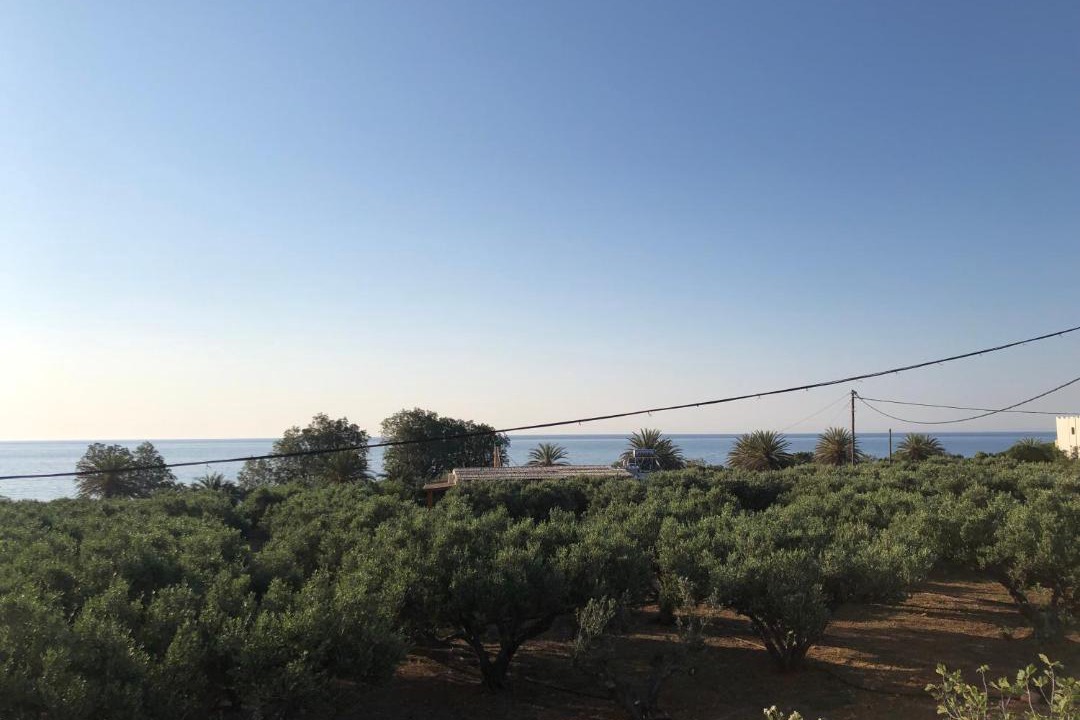Photo of Outdoor in Xerokampos