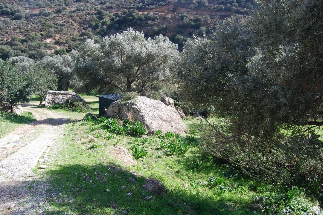 Photo of Others in Agia Galini