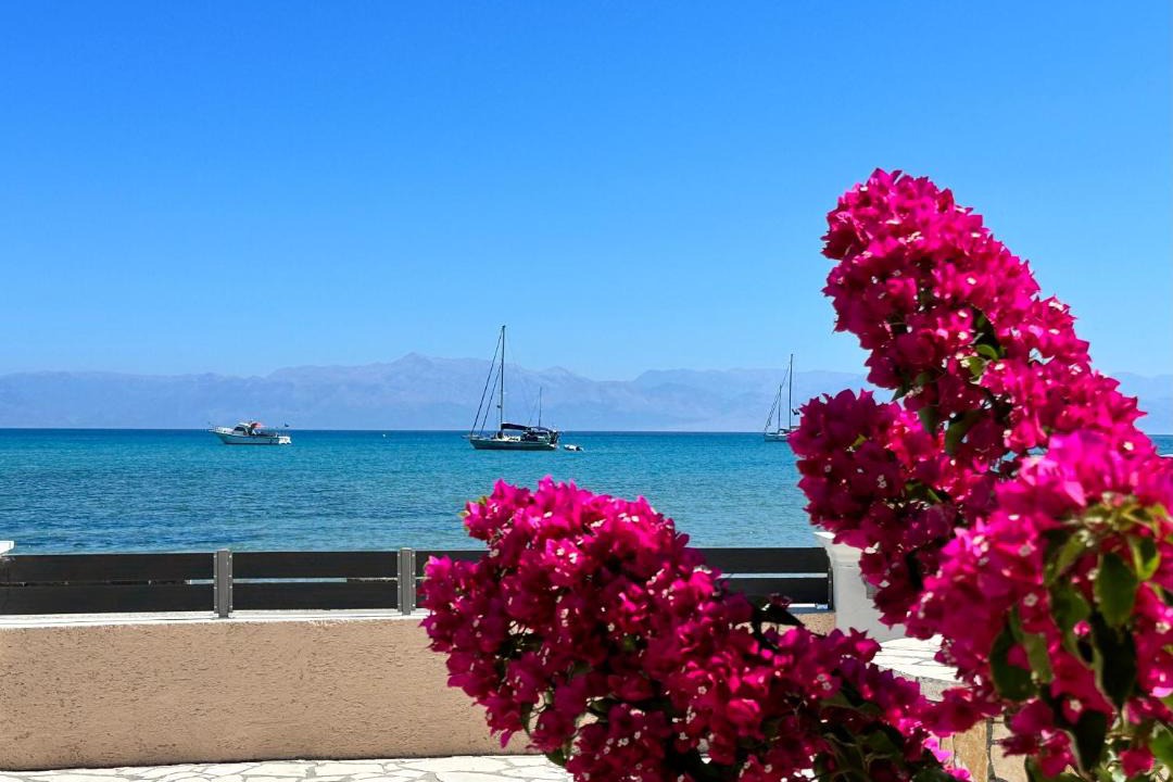 Photo of Outdoor in Sidari