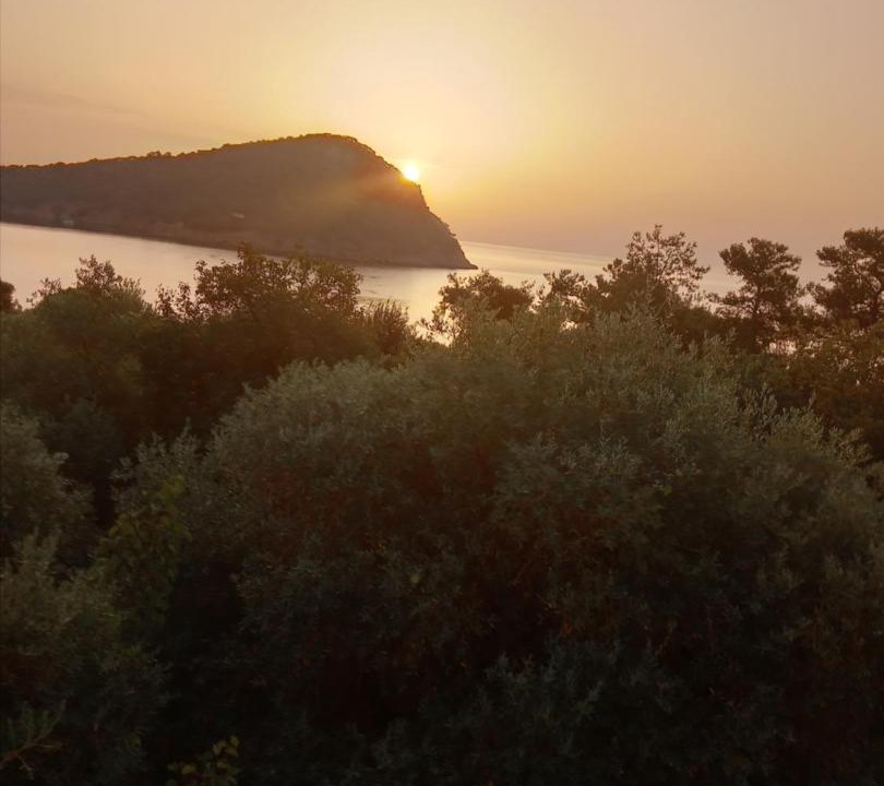 Photo of Others in Thasos
