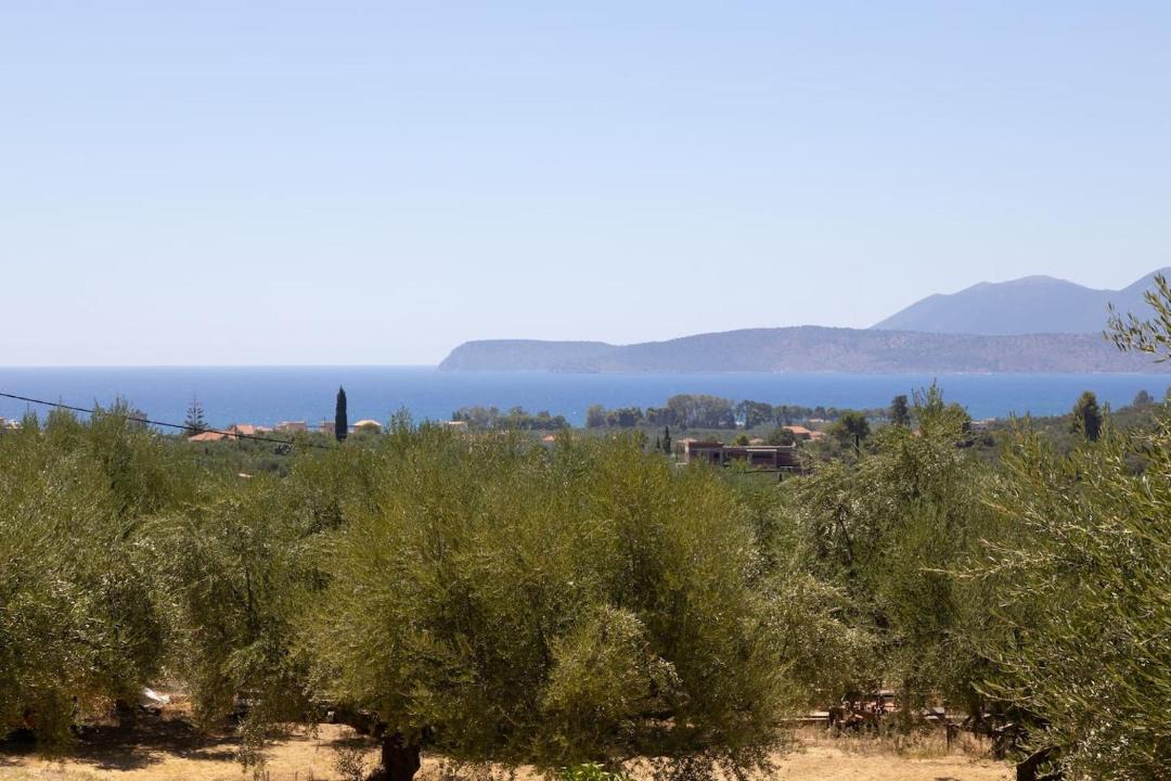 Photo of Outdoor in Mavrovouni