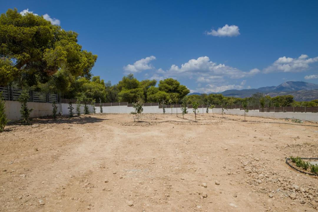 Photo of Others in Isthmia