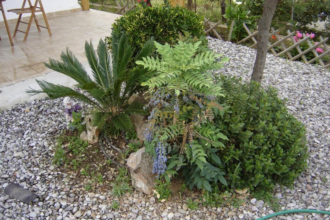Photo of Others in Rafina-Pikermi