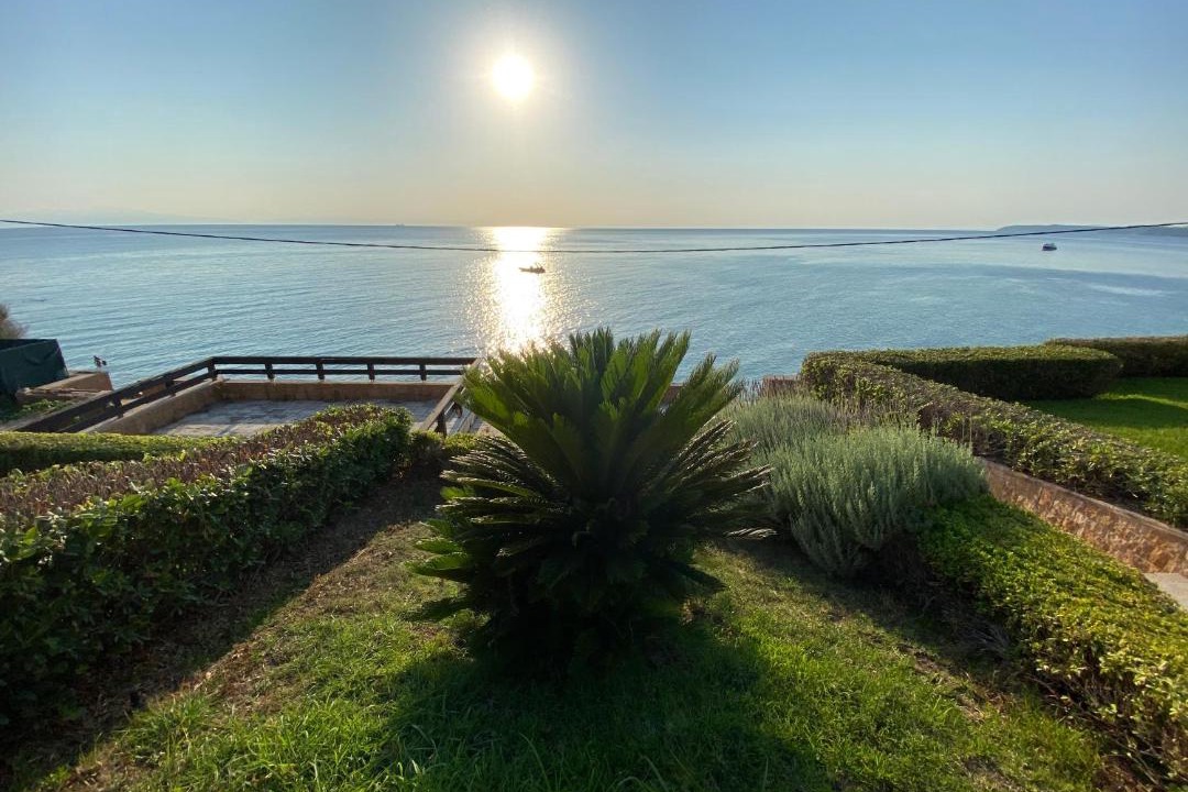 Photo of Others in Kassandra