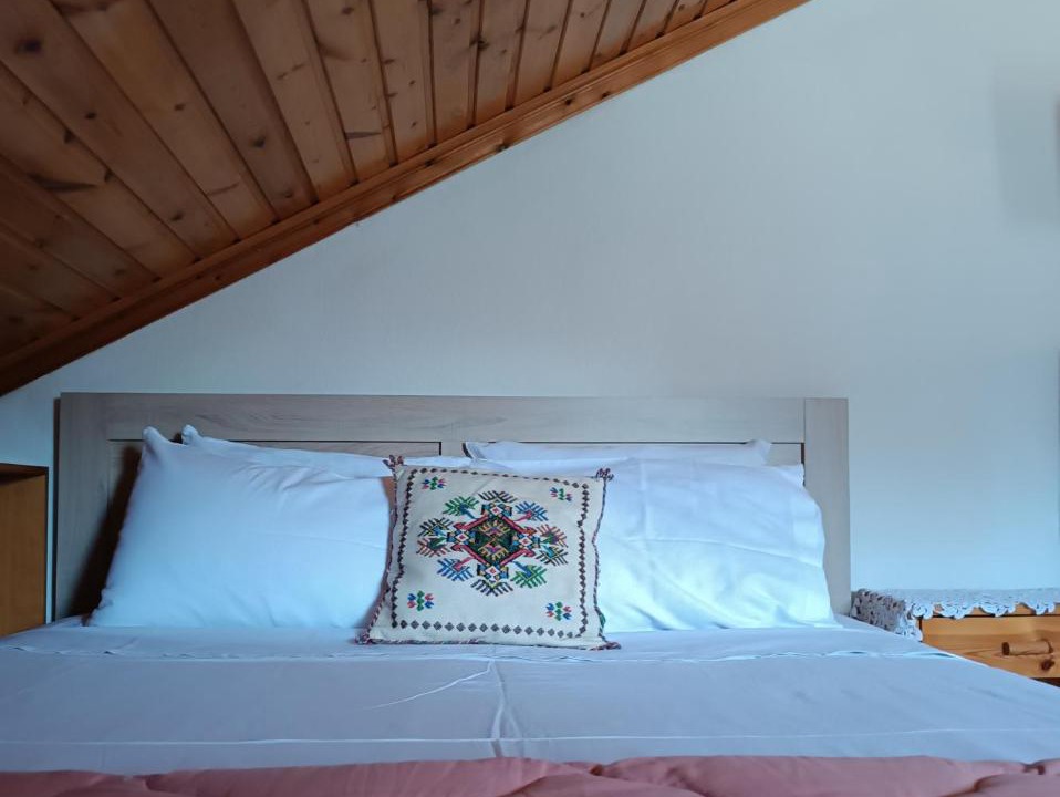 Photo of Others in Metsovo