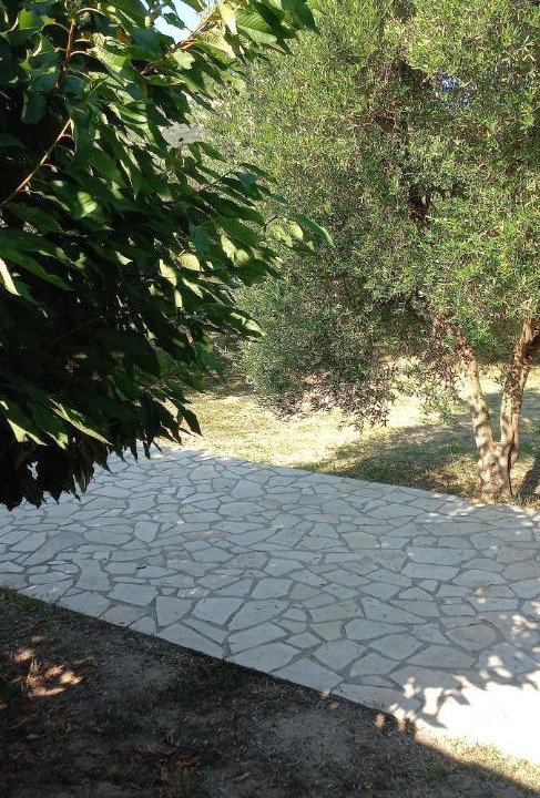 Photo of Outdoor in Fanari