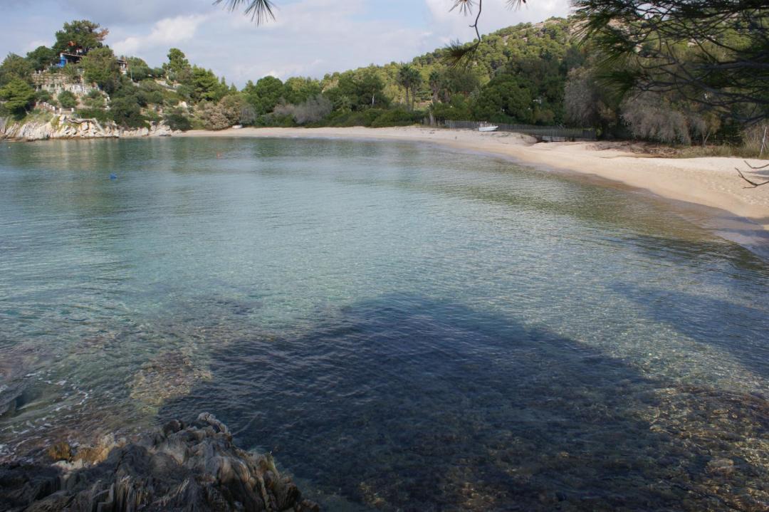 Photo of Others in Elia