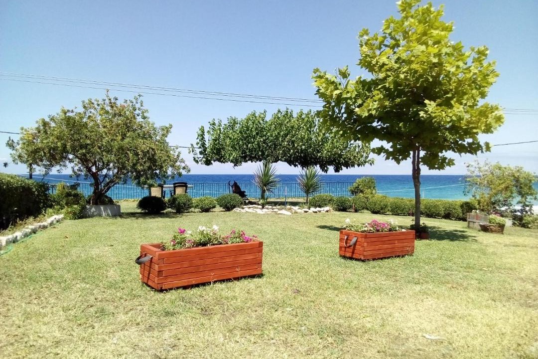 Photo of Others in Agia