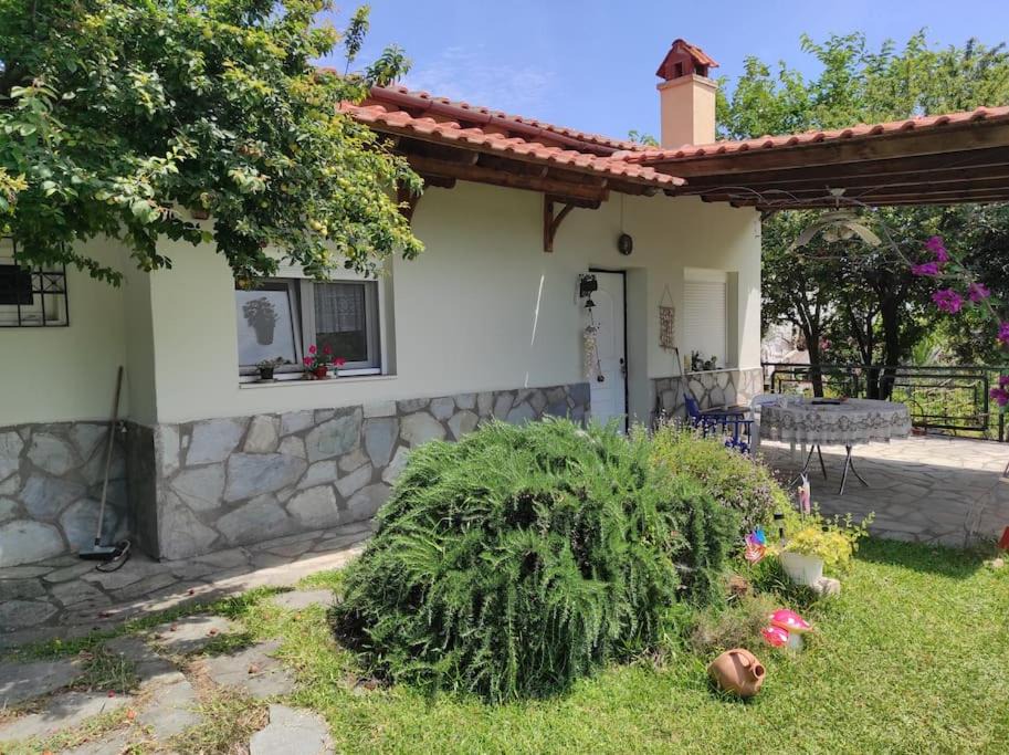 Photo of Buildings in Sozopolis