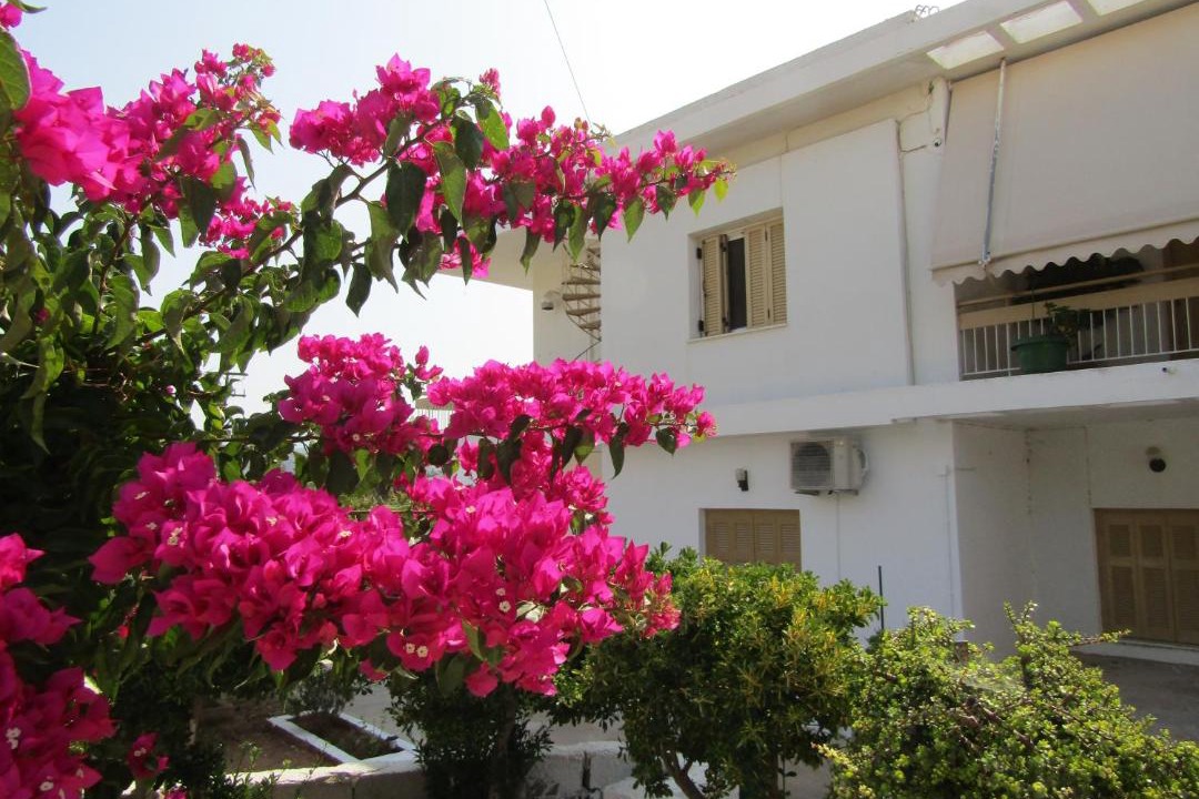 Photo of Buildings in Isthmia