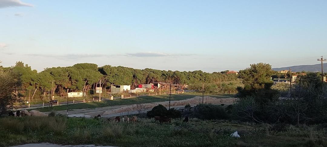 Photo of Outdoor in Isthmia
