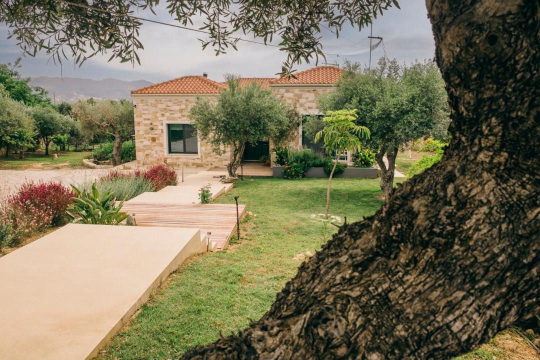 Photo of Others in Agia