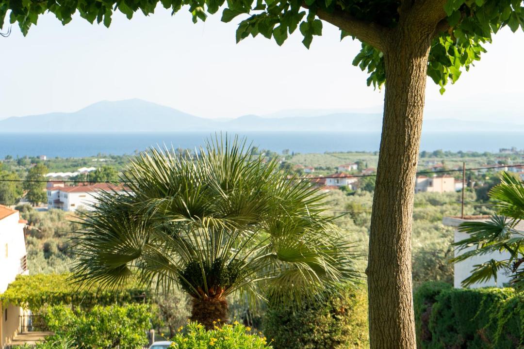 Photo of Others in Kato Lechonia